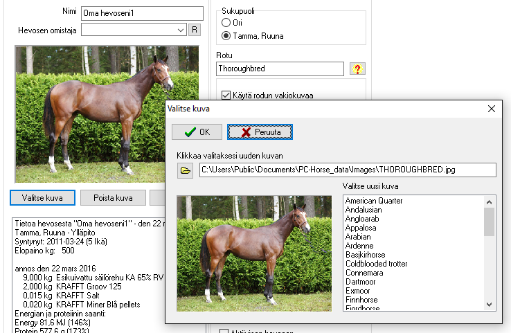 358 selecthorsepicture2