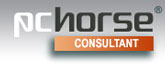 PCHlogo-Consultant-165px