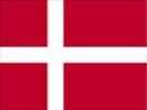 flag45