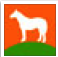 icon orange